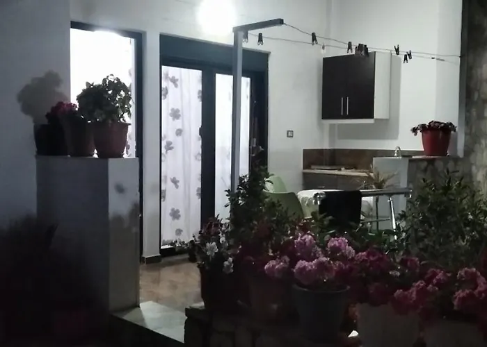 Apartament Erjon *